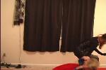 Grabbed Frame 341.JPG